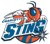 Charlotte Sting Team Logo